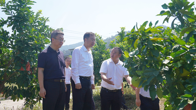中國有研黨委書記、董事長趙曉晨赴貴州思南調(diào)研集團(tuán)定點(diǎn)幫扶工作