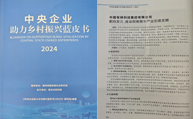 中國(guó)有研助力鄉(xiāng)村振興優(yōu)秀案例入選《中央企業(yè)助力鄉(xiāng)村振興藍(lán)皮書（2024）》